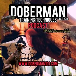 Show cover of Doberman Training & History Podcast by ElDobermanKing