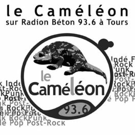 Show cover of Le caméléon