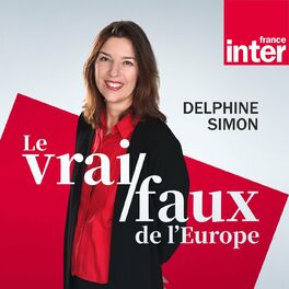Show cover of Le vrai/faux de l'Europe