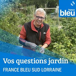 Show cover of Vos questions jardin - France Bleu Sud Lorraine