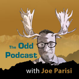 Show cover of The Odd Podcast with Joe Parisi