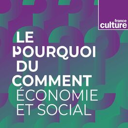 Show cover of Le Pourquoi du comment : économie et social