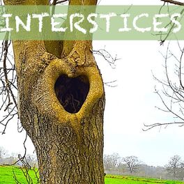 Show cover of INTERSTICES
