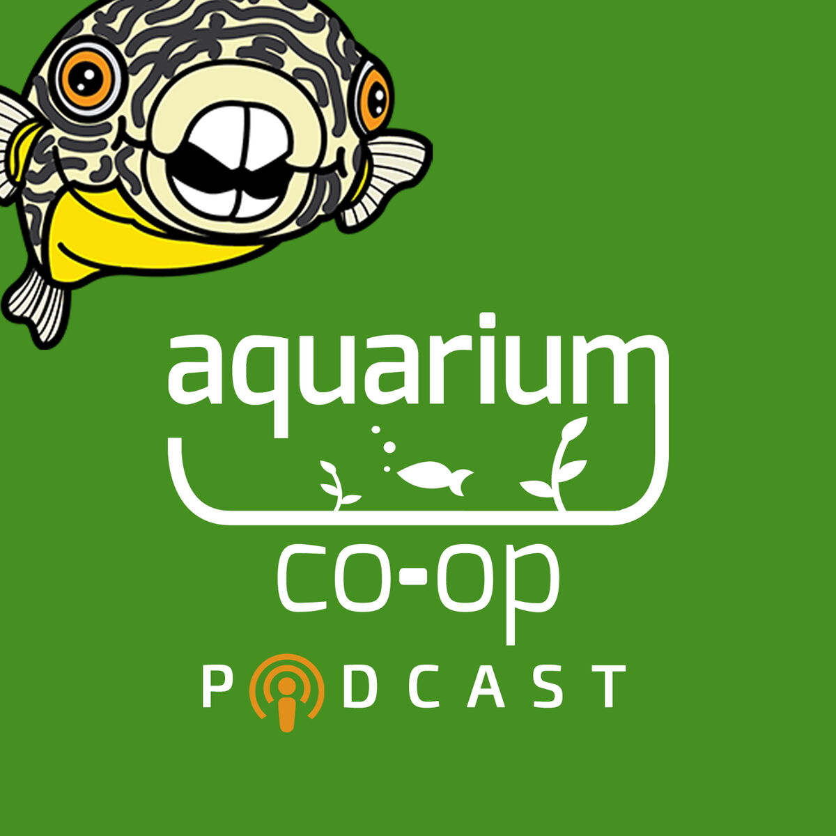 Listen to Aquarium Co Op Podcast podcast Deezer