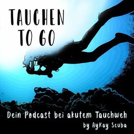 Show cover of Tauchen 2 go