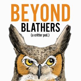Show cover of Beyond Blathers