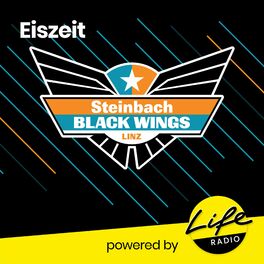 Show cover of Eiszeit - Der Life Radio - Black Wings Podcast