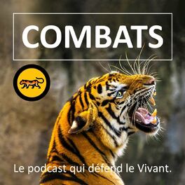 Show cover of Combats