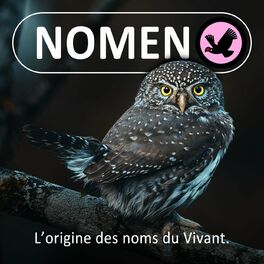Show cover of Nomen (Baleine sous Grav... Étymologie)