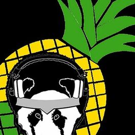 Show cover of The Reel Pineapple