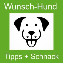 Show cover of wunsch-hund Tipps + Schnack: Der Podcast mit Wunschhund