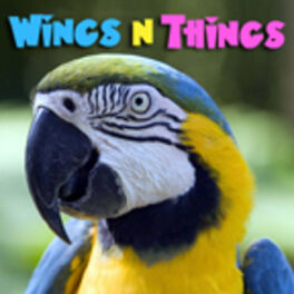 Show cover of WingsNThings - Birds & Parrots as Pets - All About Pet Birds - Pets & Animals on Pet Life Radio (PetLifeRadio.com)