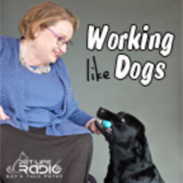 Show cover of Working Like Dogs - Service Dogs and Working Dogs  - Pets & Animals on Pet Life Radio (PetLifeRadio.com)