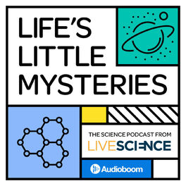 Show cover of Life's Little Mysteries