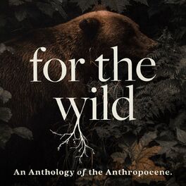 Show cover of For The Wild