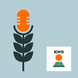 Show cover of Ährenwort - Der KWS Getreide Podcast