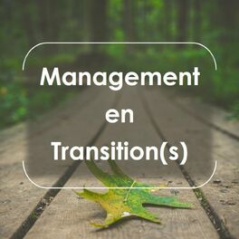 Show cover of Management en transition(s)