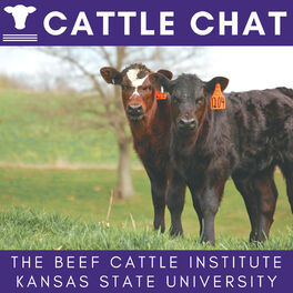 Show cover of BCI Cattle Chat